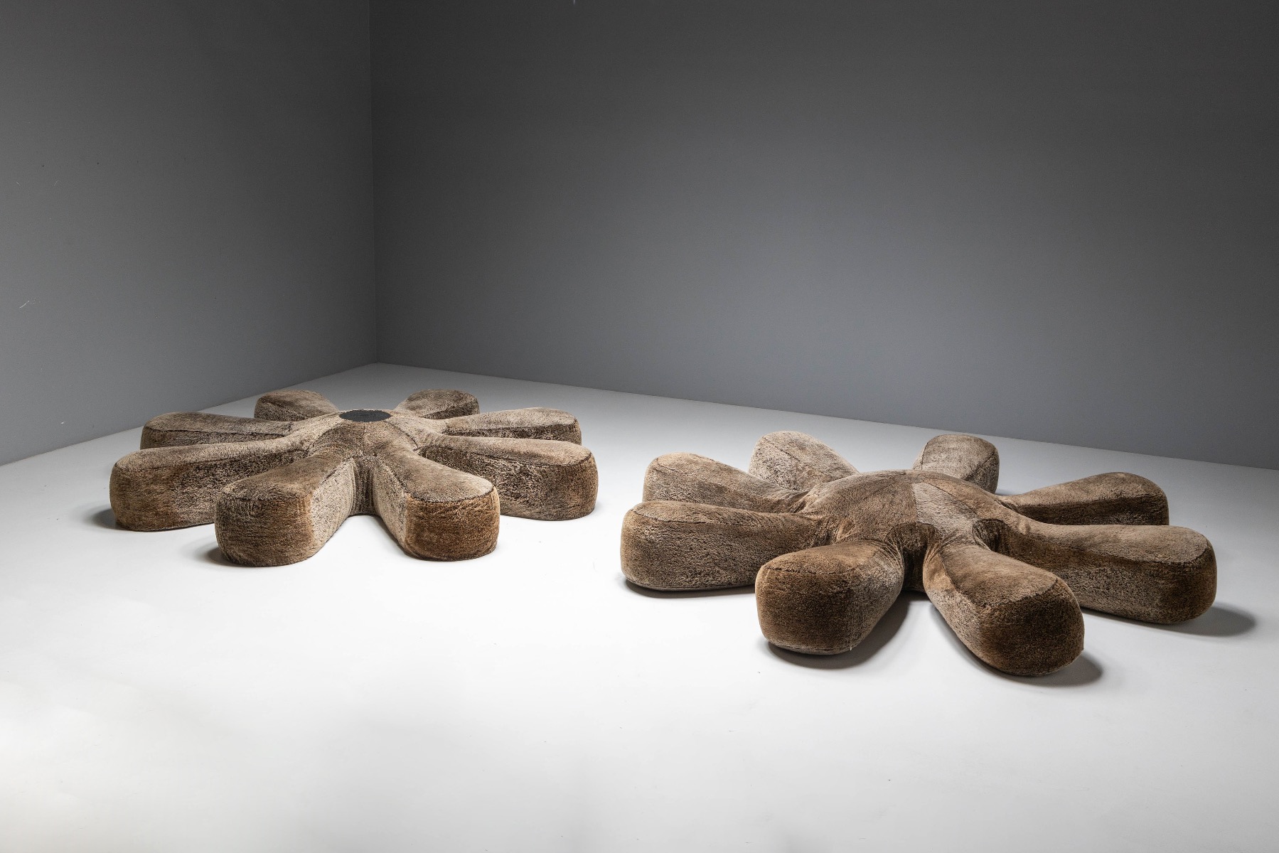 Collectible contemporary sofa Edra Aster Papposus by Campana