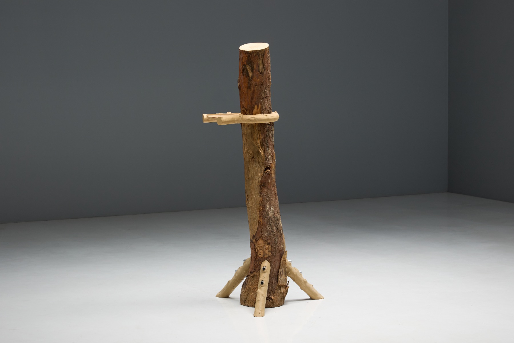 Museum level contemporary shelf by Schimmel and Schweikle