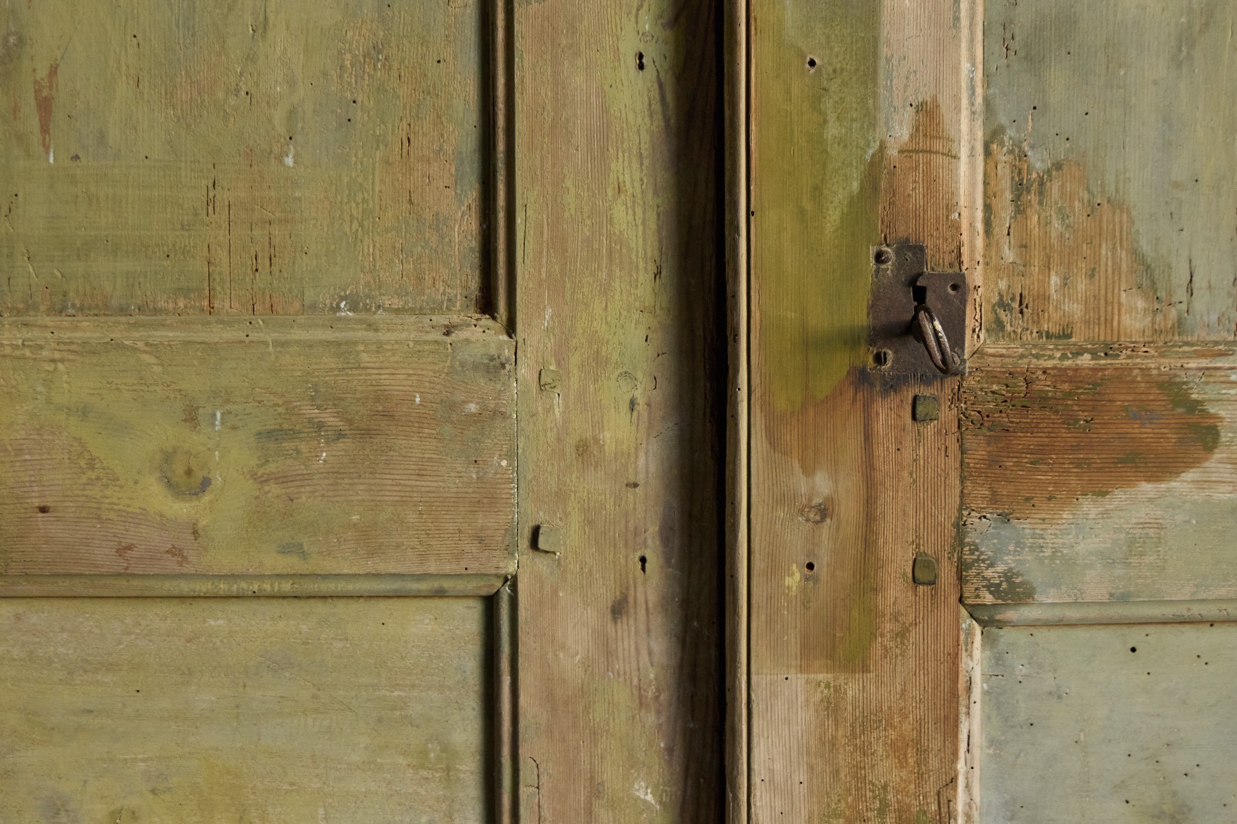 Rustic vernacular green storage unit
