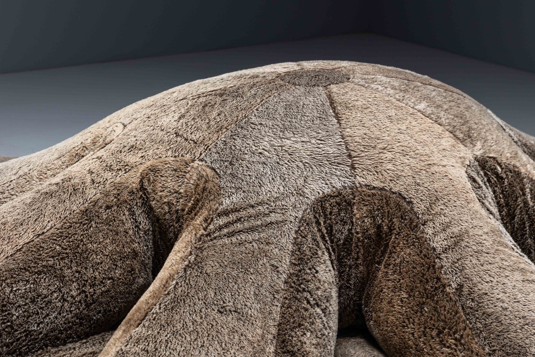 Modern art design sofa Edra Aster Papposus from Italy