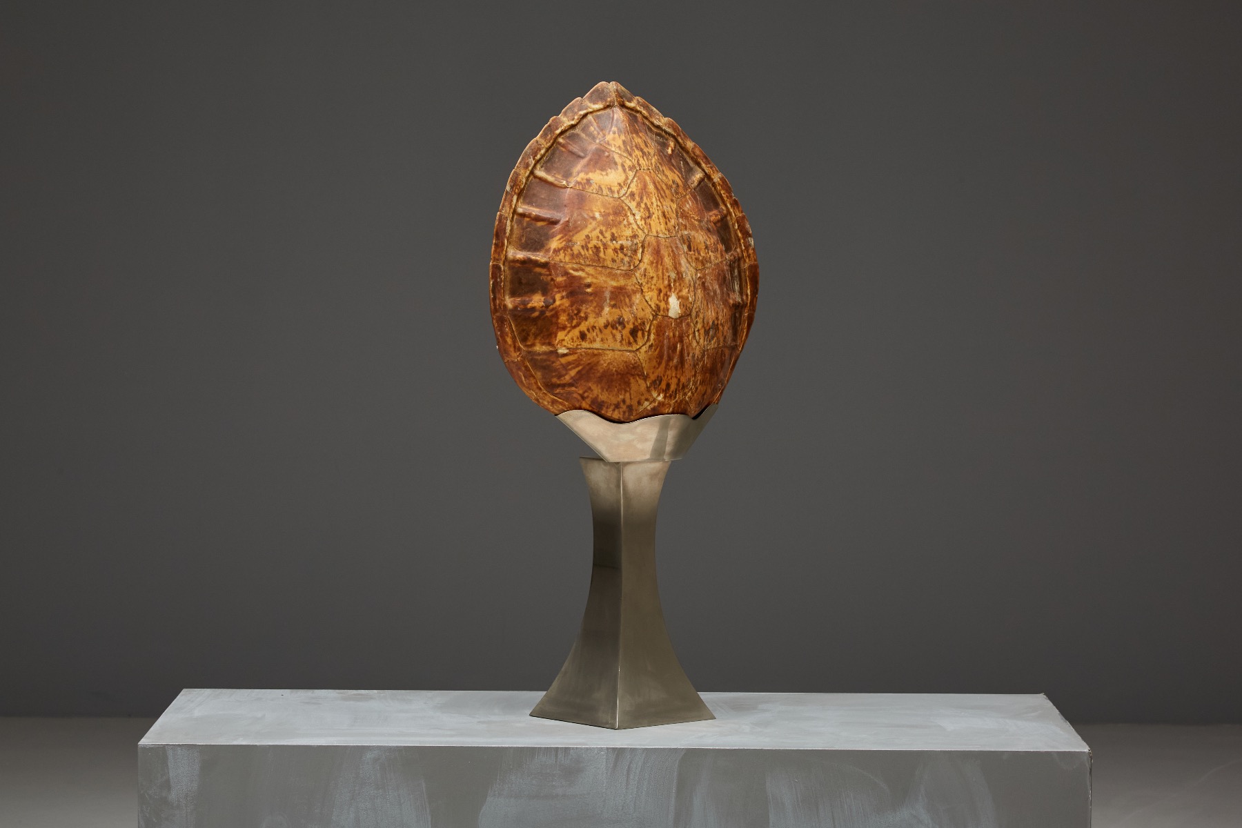Museum level Christian Dior turtle shell table lamp