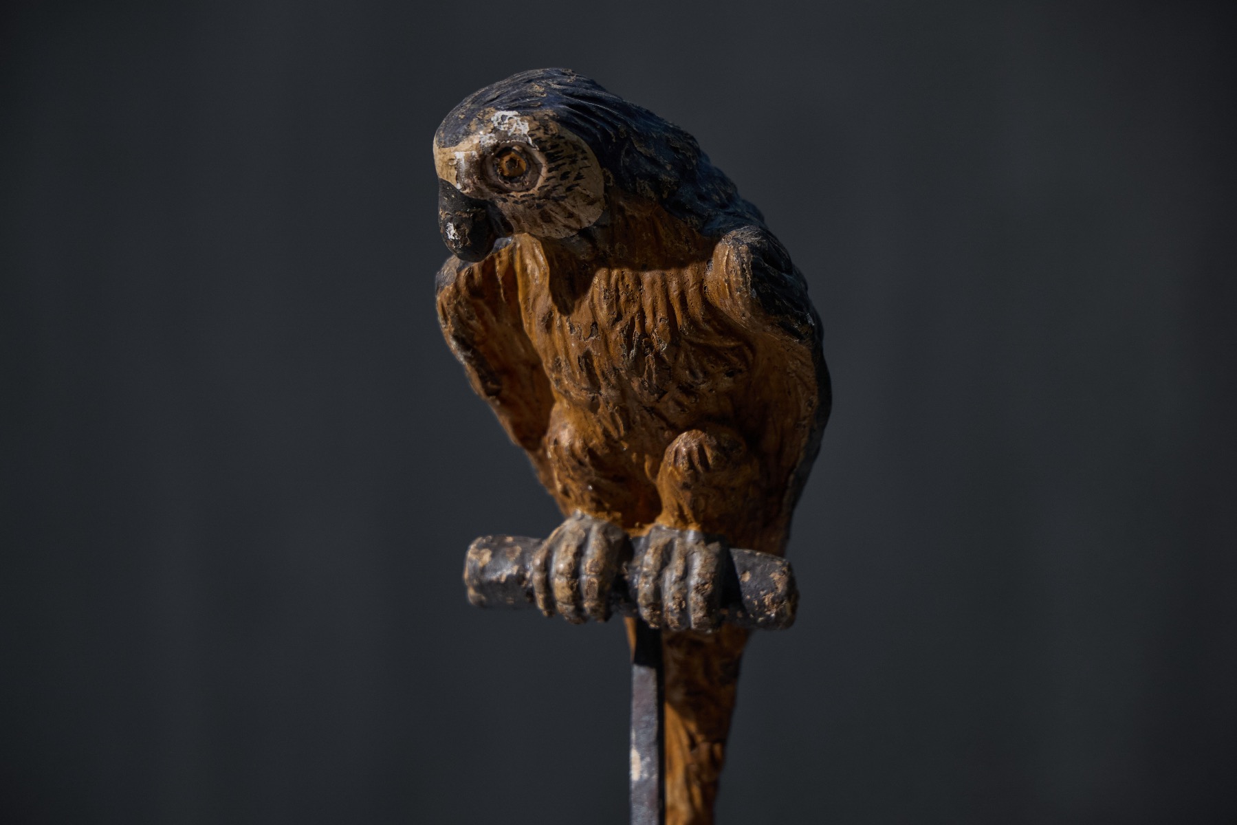 Gallery level neoclassical parrot sculptures