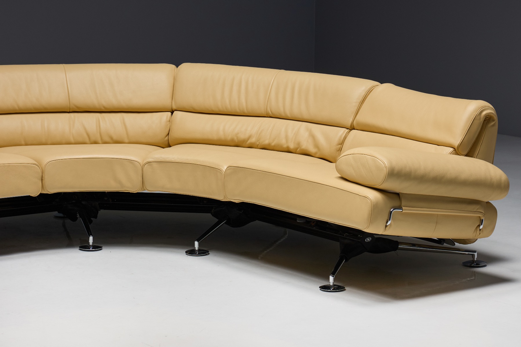 Collectible leather sofa model DS-470