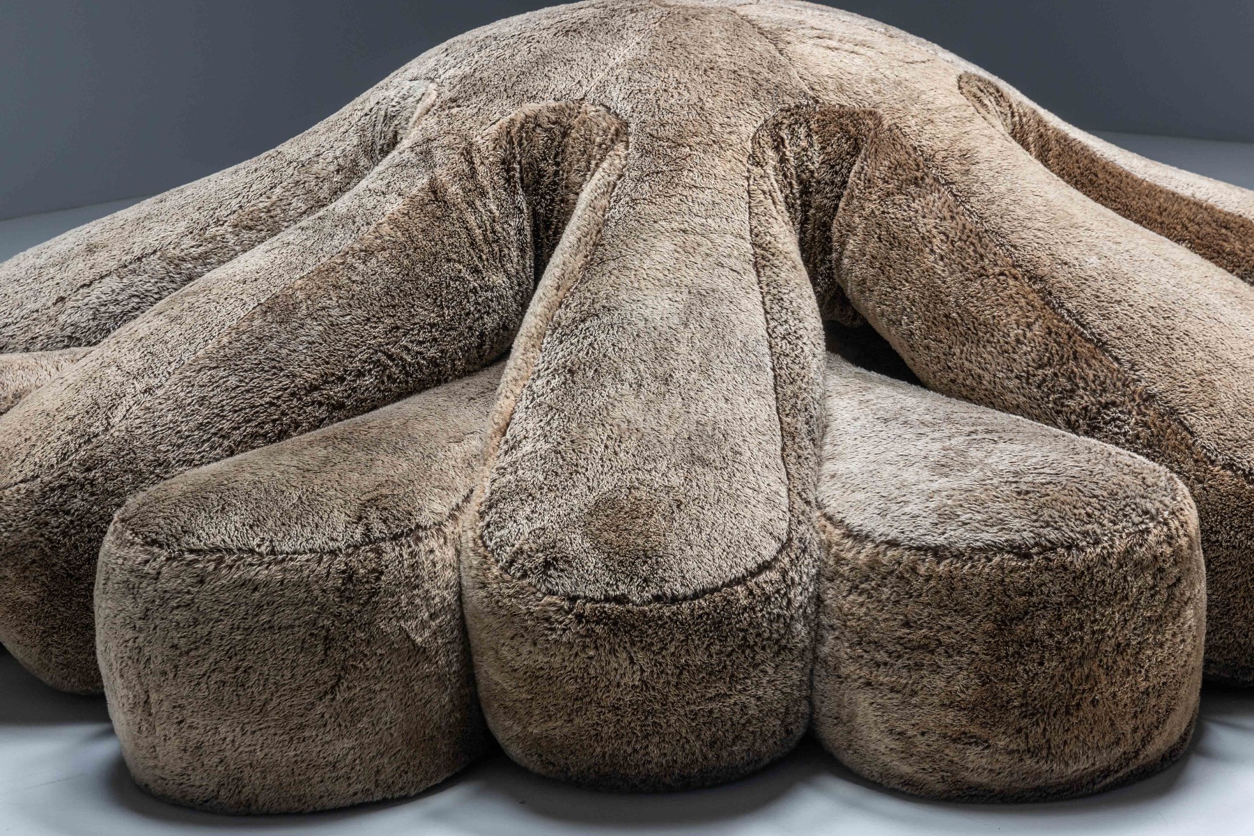 Museum level contemporary sofa Edra Aster Papposus