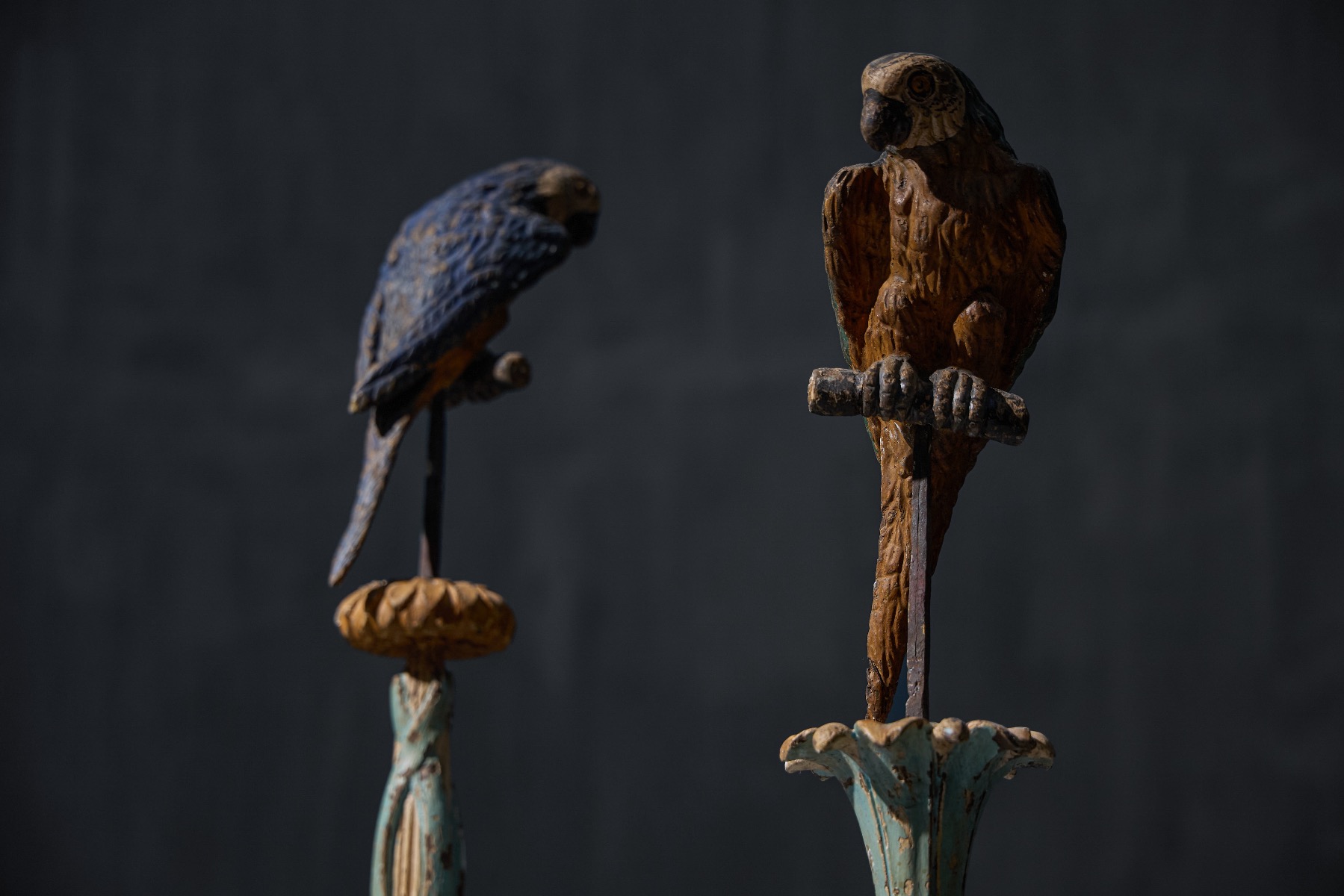 Classical decorative parrots with heritage appeal