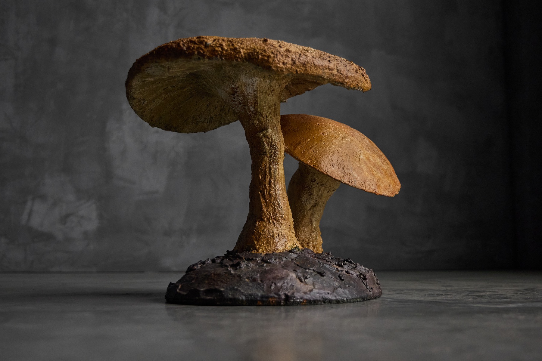 Organic wabi sabi mushroom sculptures with natural texture