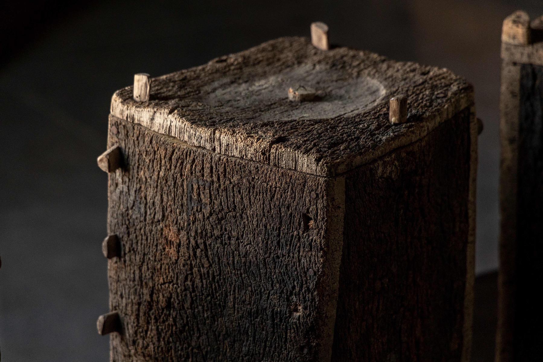 19th century rural beekeeping hives carved from logs