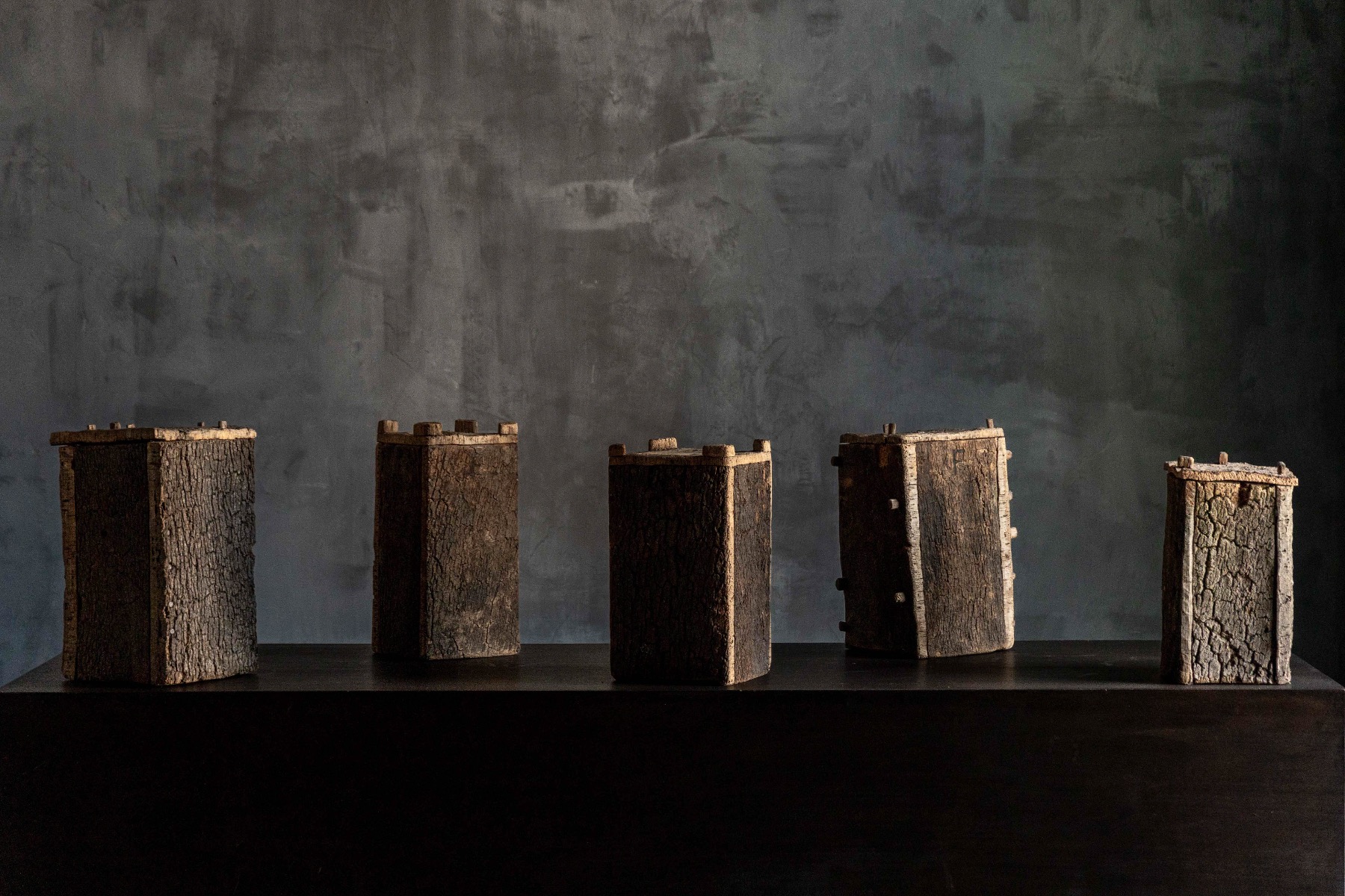 Primitive hollow log beehives with weathered surface