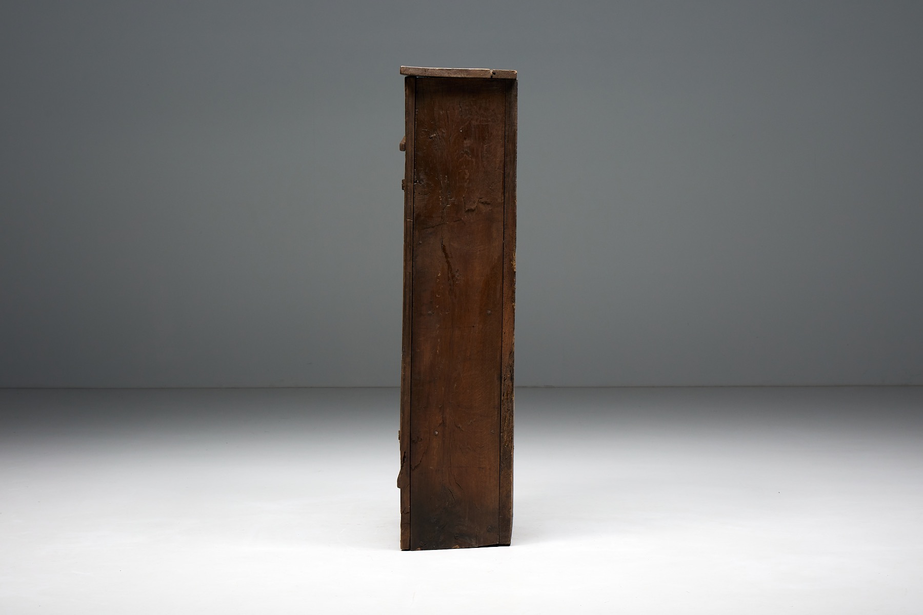 Nineteenth century French rustic monoxylite cupboard