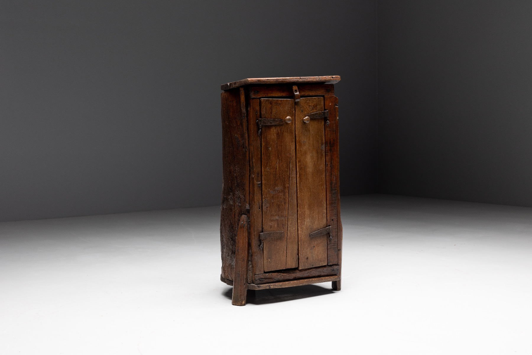 Nineteenth century monoxylite storage cabinet