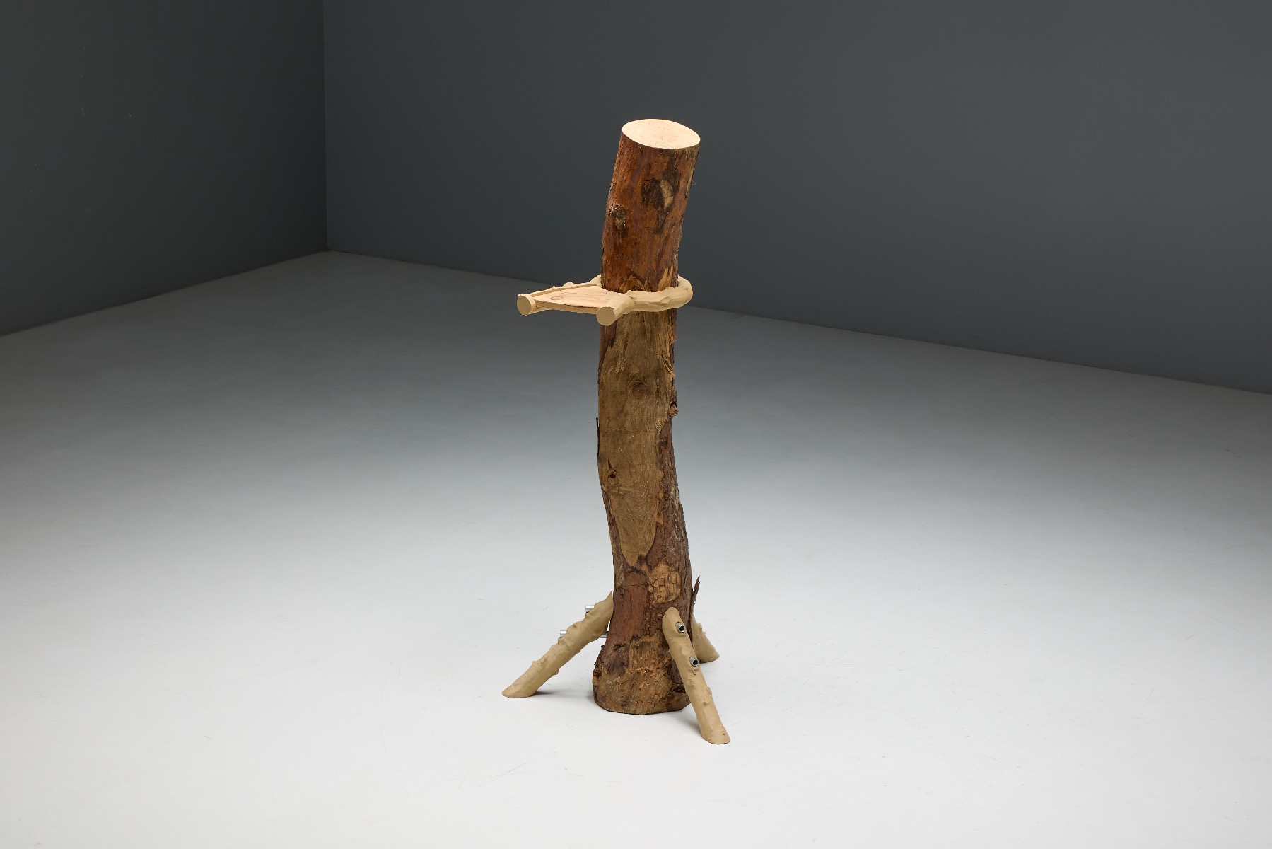 Contemporary design shelf with expressive sculptural form