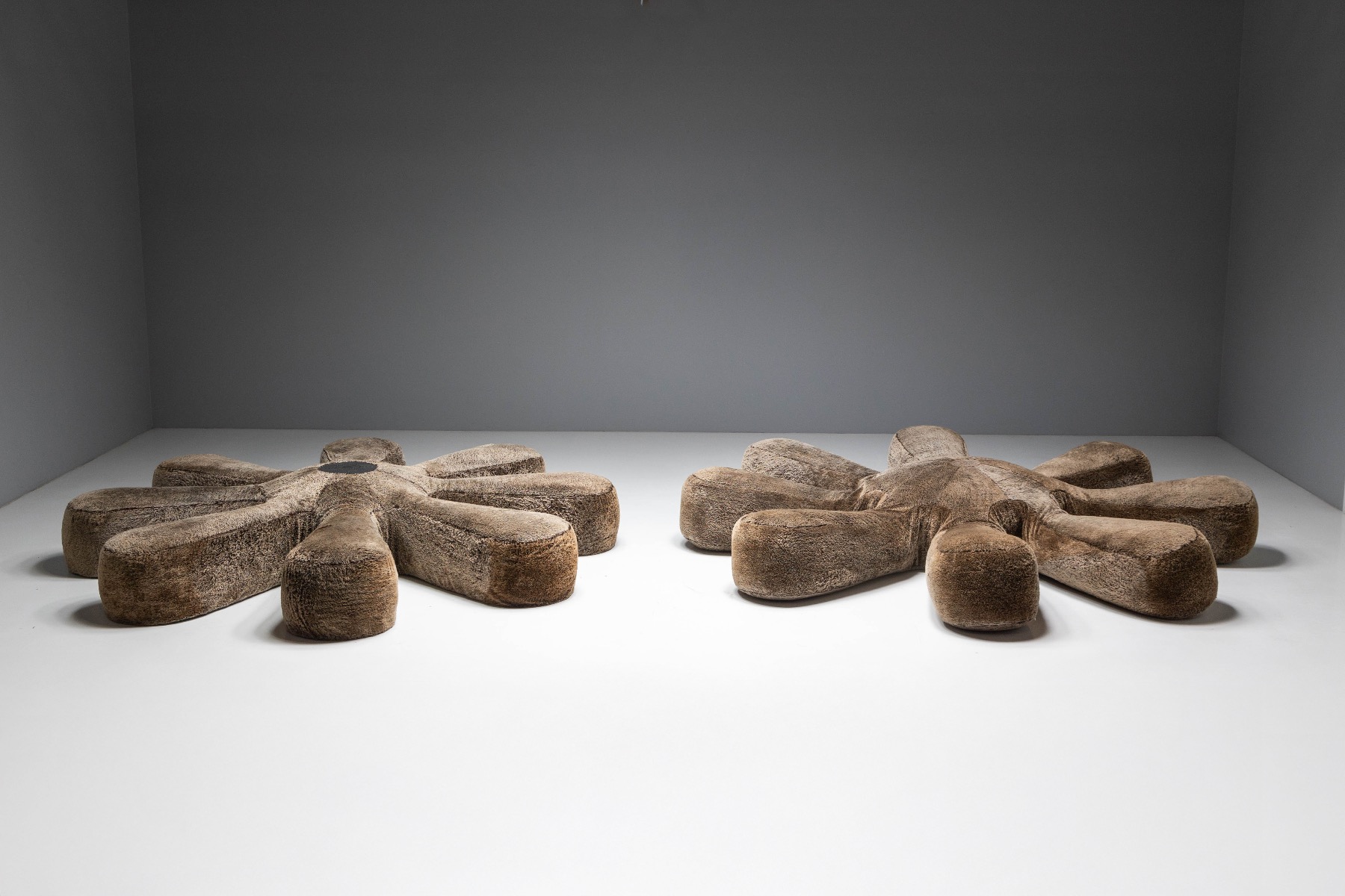 Italian Edra Aster Papposus sofa with expressive sculptural structure