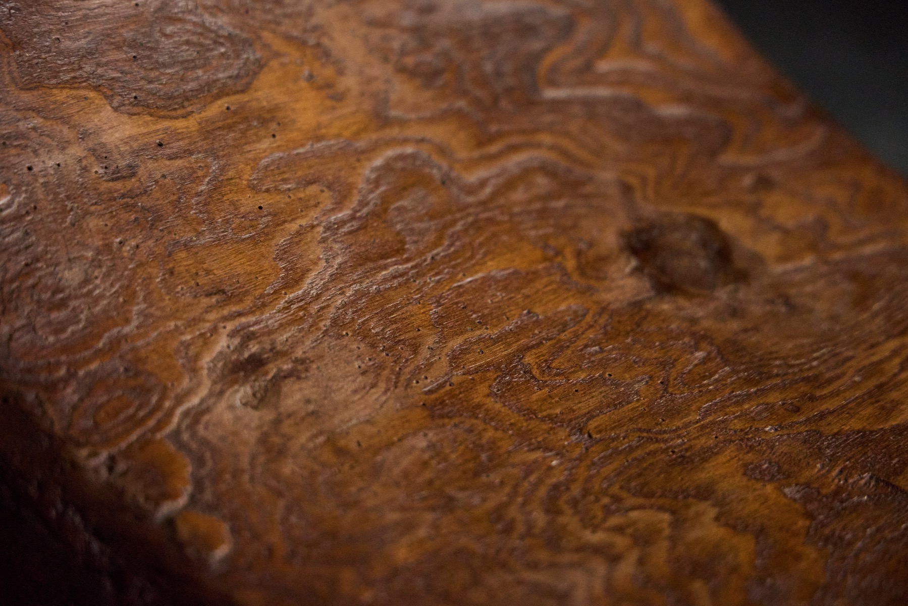 Monoxyle brutalist stool in solid wood
