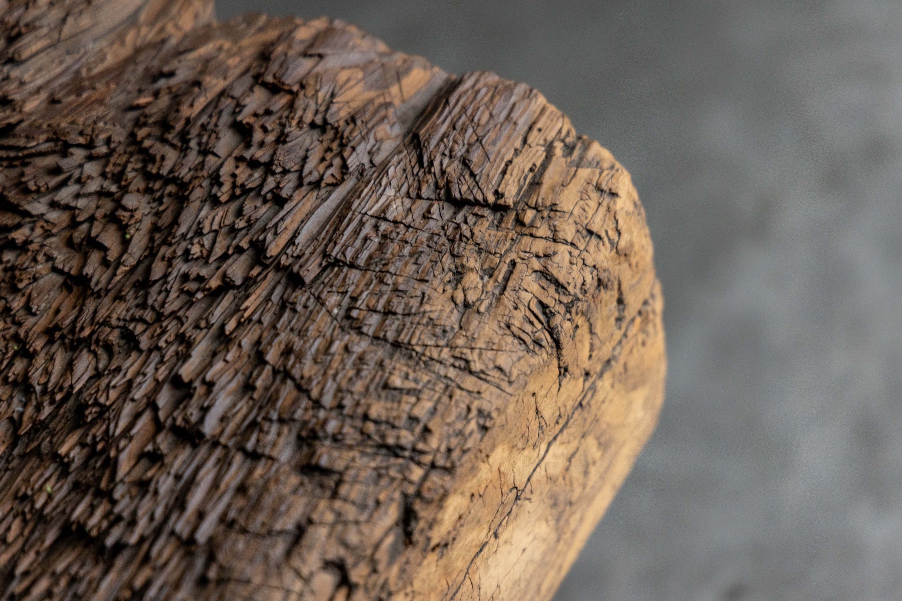 Solid wood rustic bench late 19th century