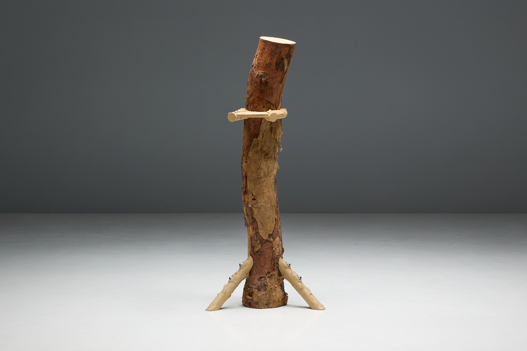 Experimental contemporary shelf with architectural presence