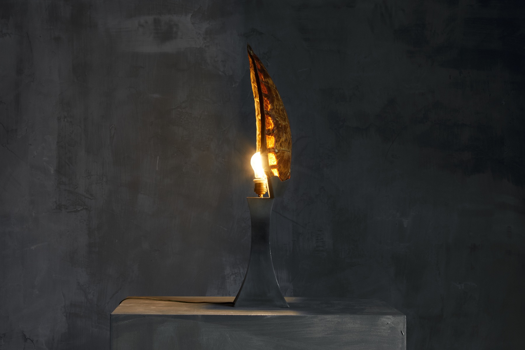Decorative turtle shell table lamp with vintage elegance