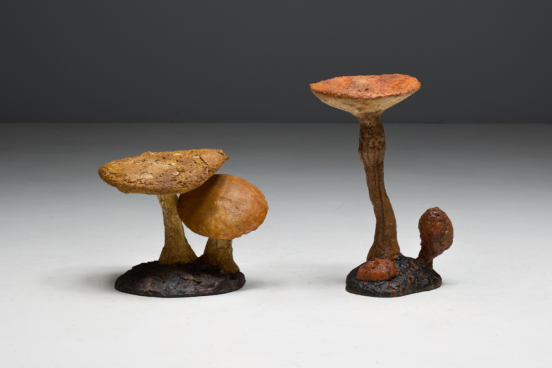 Minimalist mushroom object with wabi sabi expression