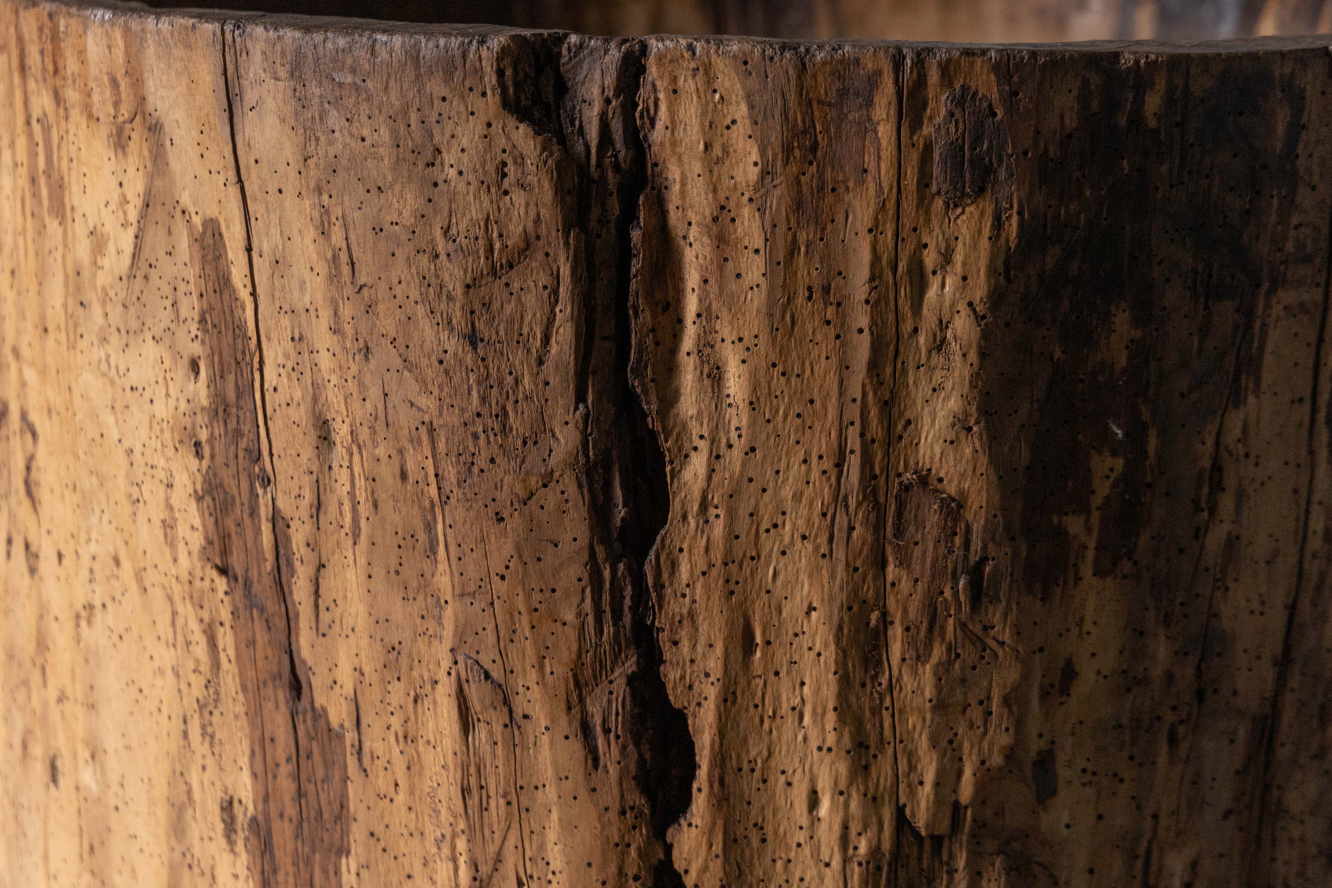 Large Vernacular Tree Trunk Vessel - 19th Century