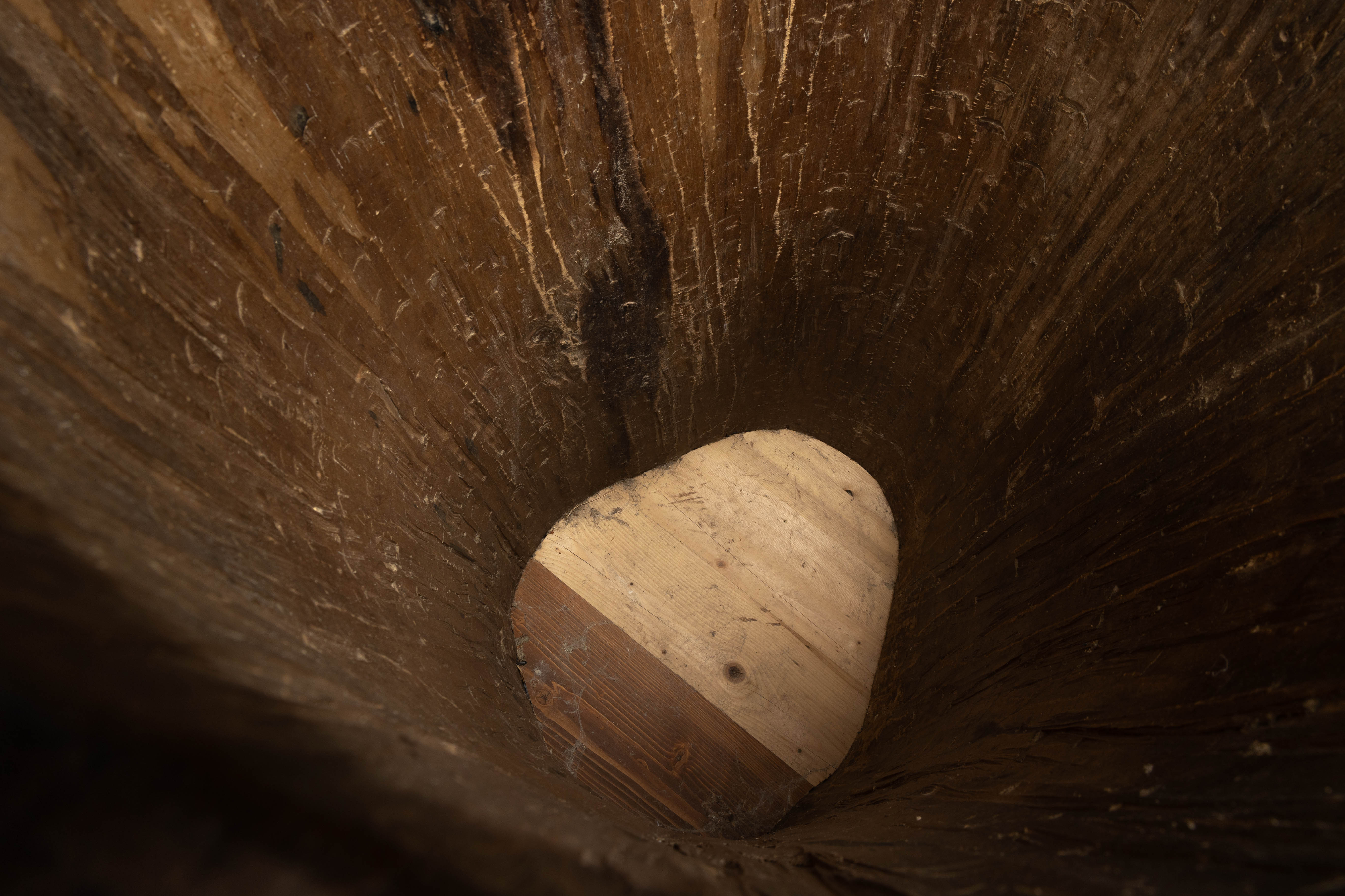 Large Vernacular Tree Trunk Vessel - 19th Century