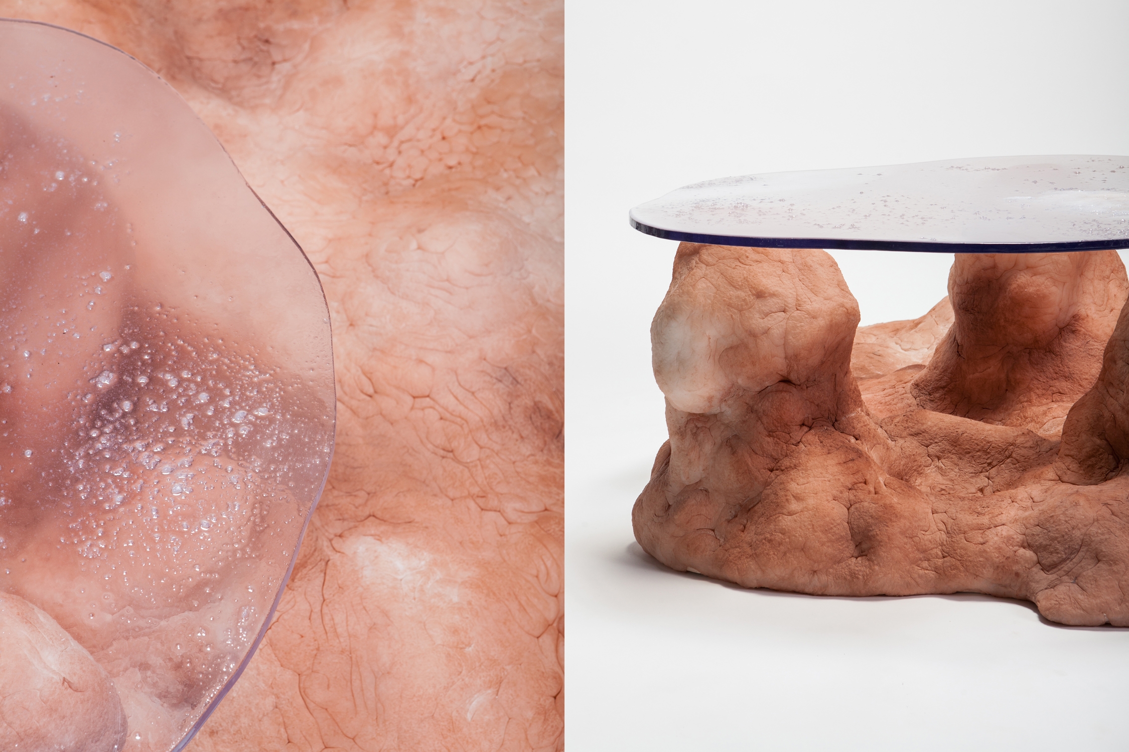 Gully Coffee Table by Elissa Lacoste for Everyday Gallery - 2019