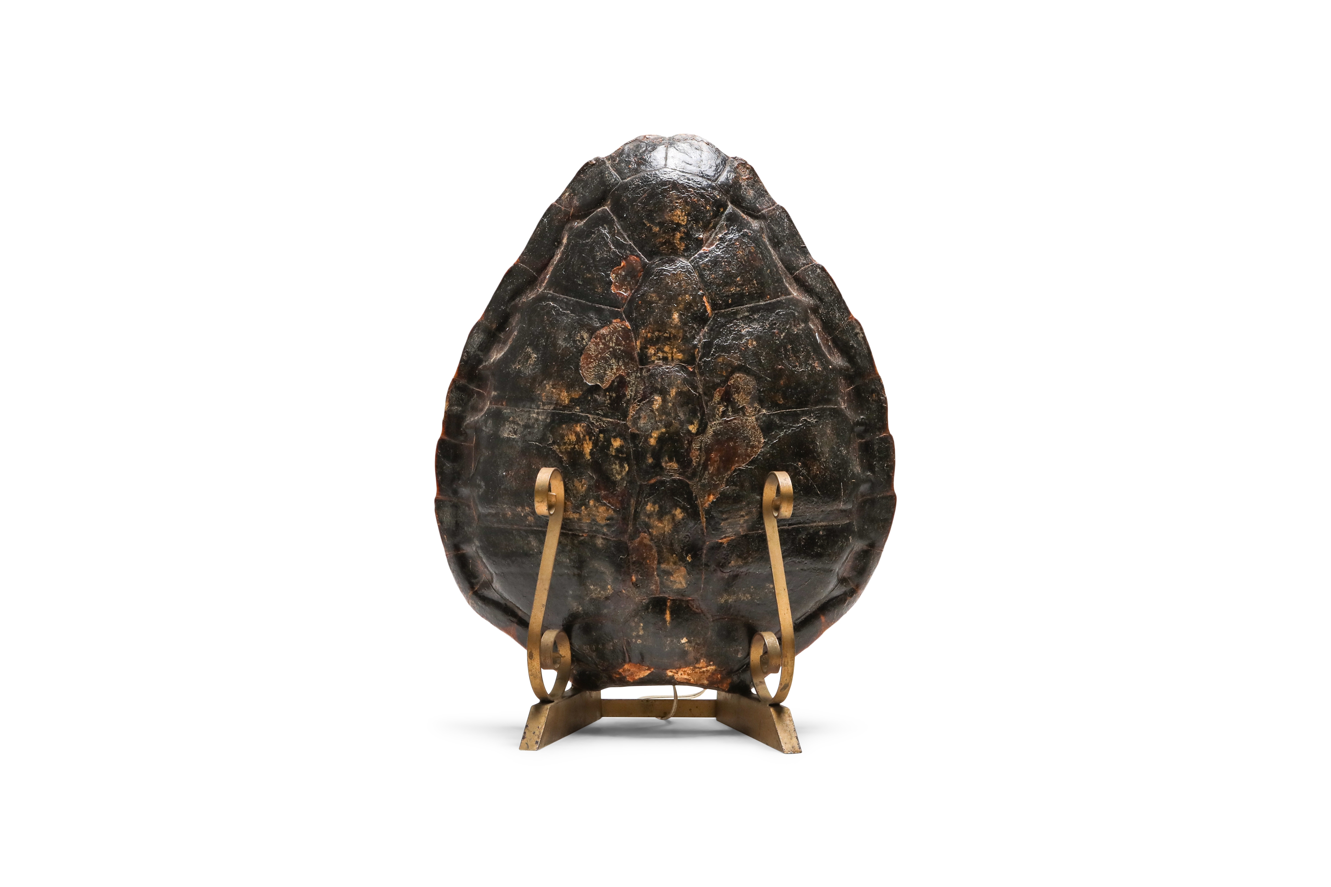 Tortoise Lamp on Gilt Mount - 1940's