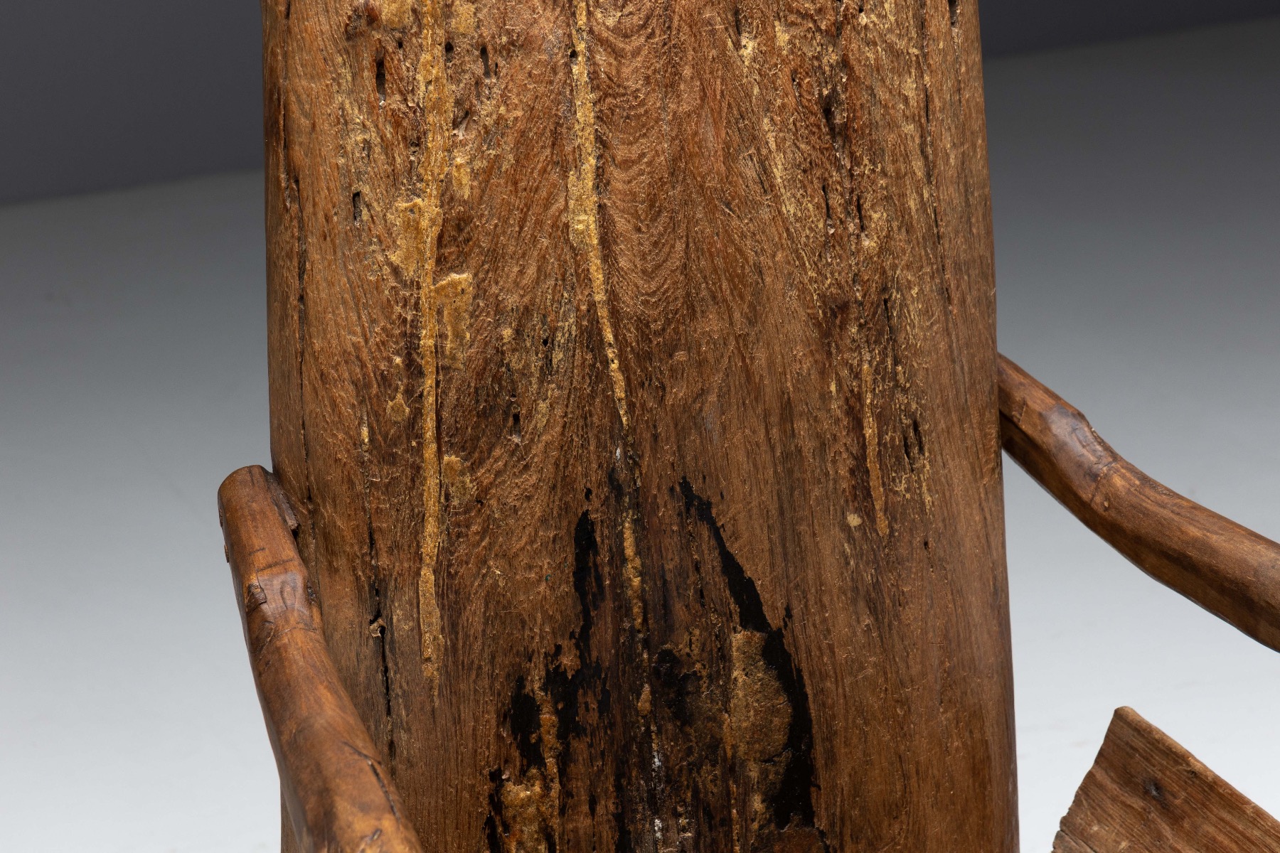 Brutalist Monoxylite Throne Chair - 19th Century