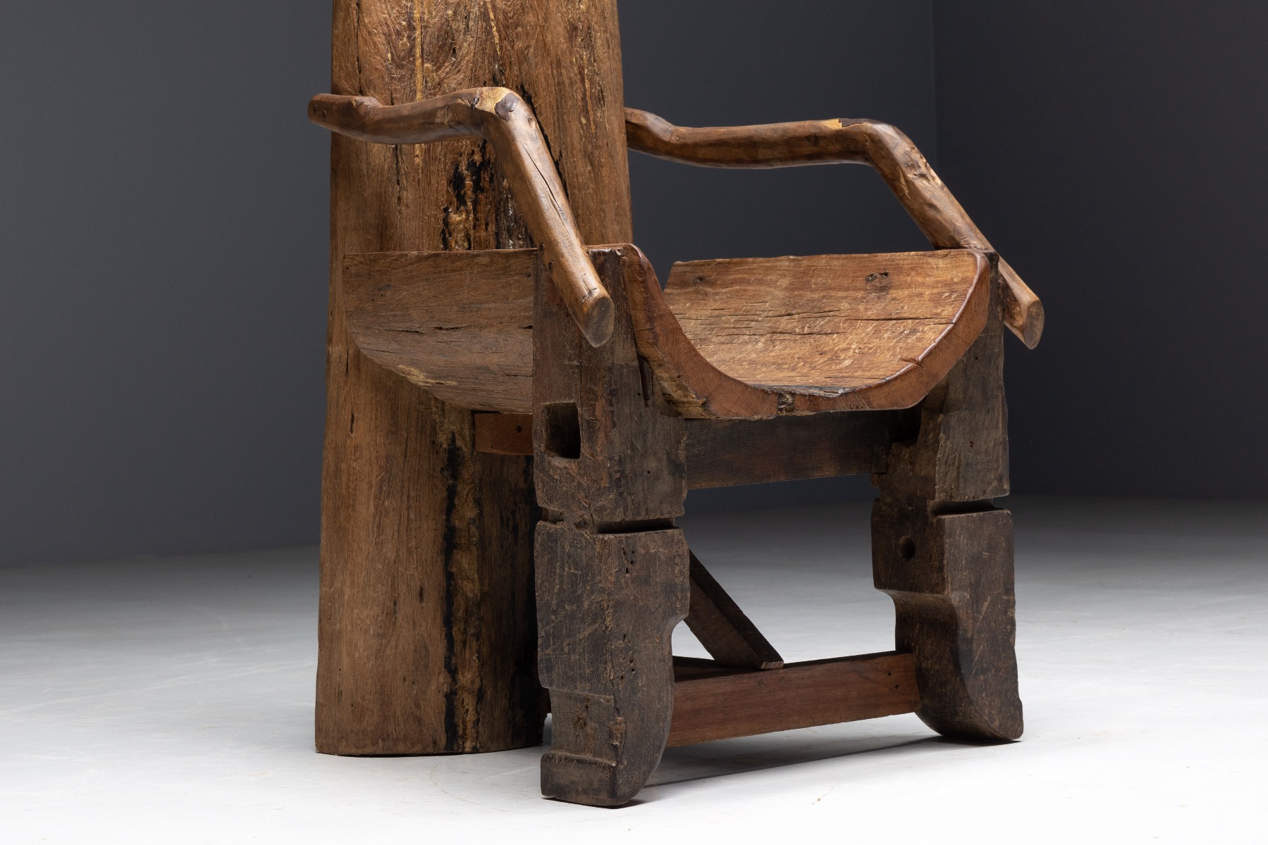 Brutalist Monoxylite Throne Chair - 19th Century