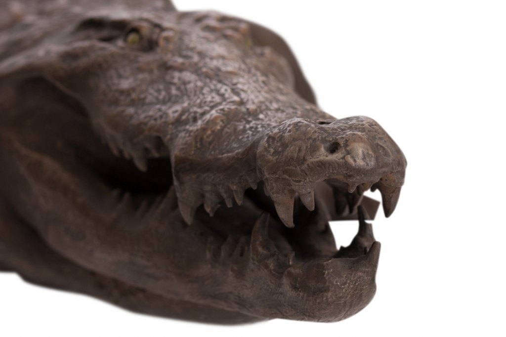 Bronzed Fiber Glass Crocodile - 1980s
