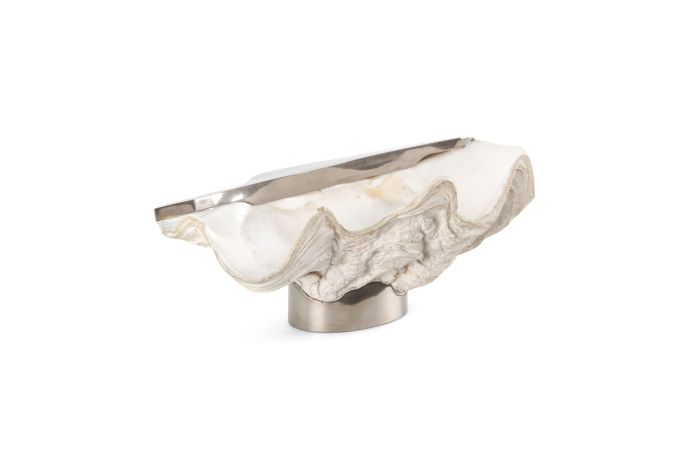 Mounted Giant Clam Shell in the Style of Gabrielle Crespi - 1950s