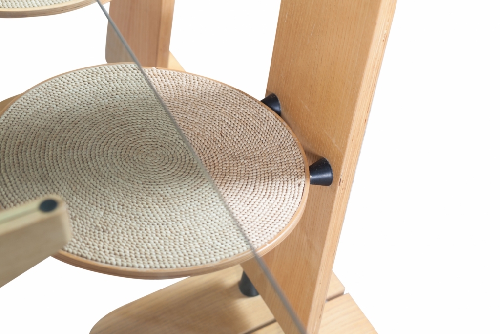 Rare Wooden Dining Chairs, Gigi Sabadin - 1970s