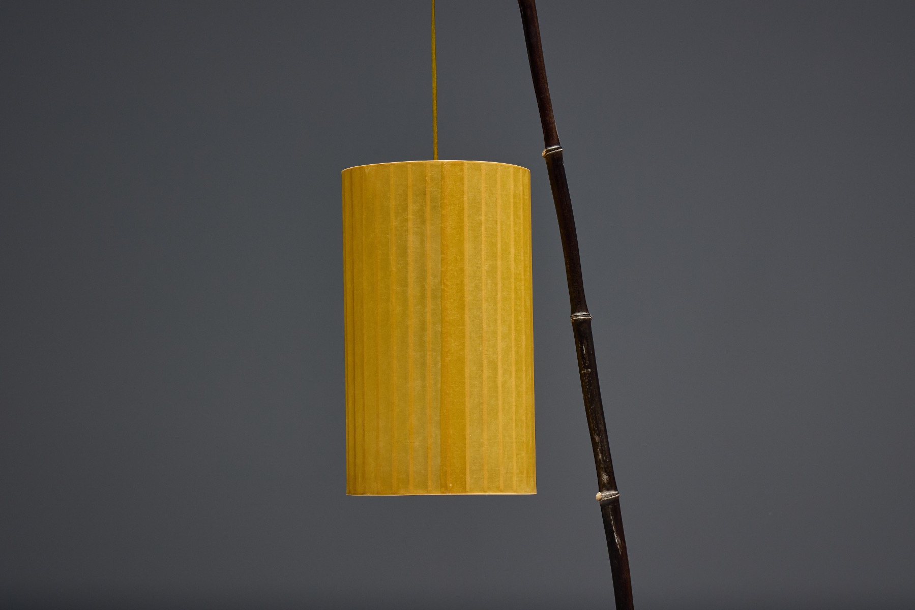 Fish Lamp by Calvin Marcus - 2018