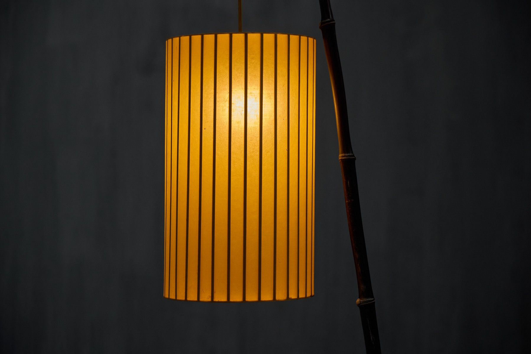 Fish Lamp by Calvin Marcus - 2018