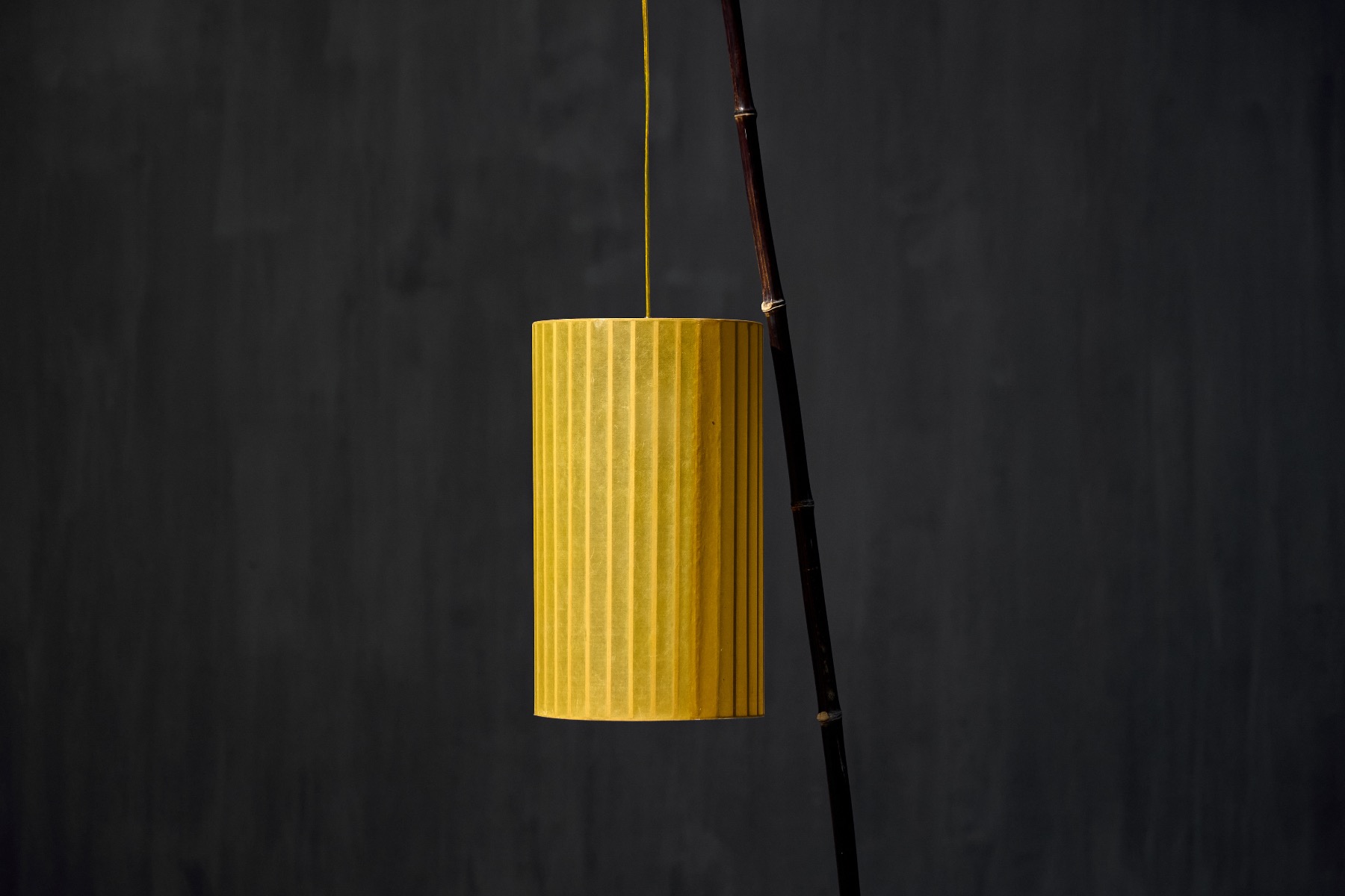 Fish Lamp by Calvin Marcus - 2018