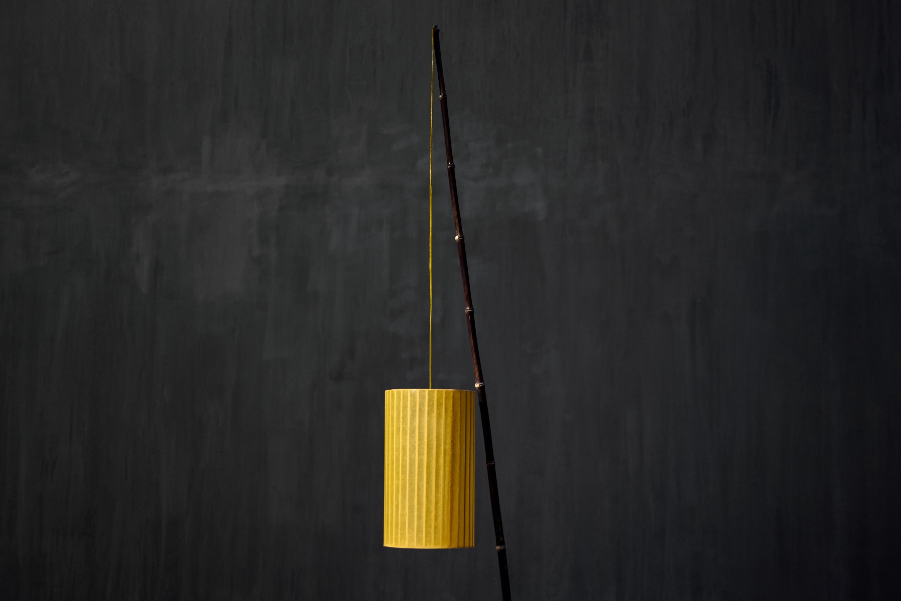 Fish Lamp by Calvin Marcus - 2018