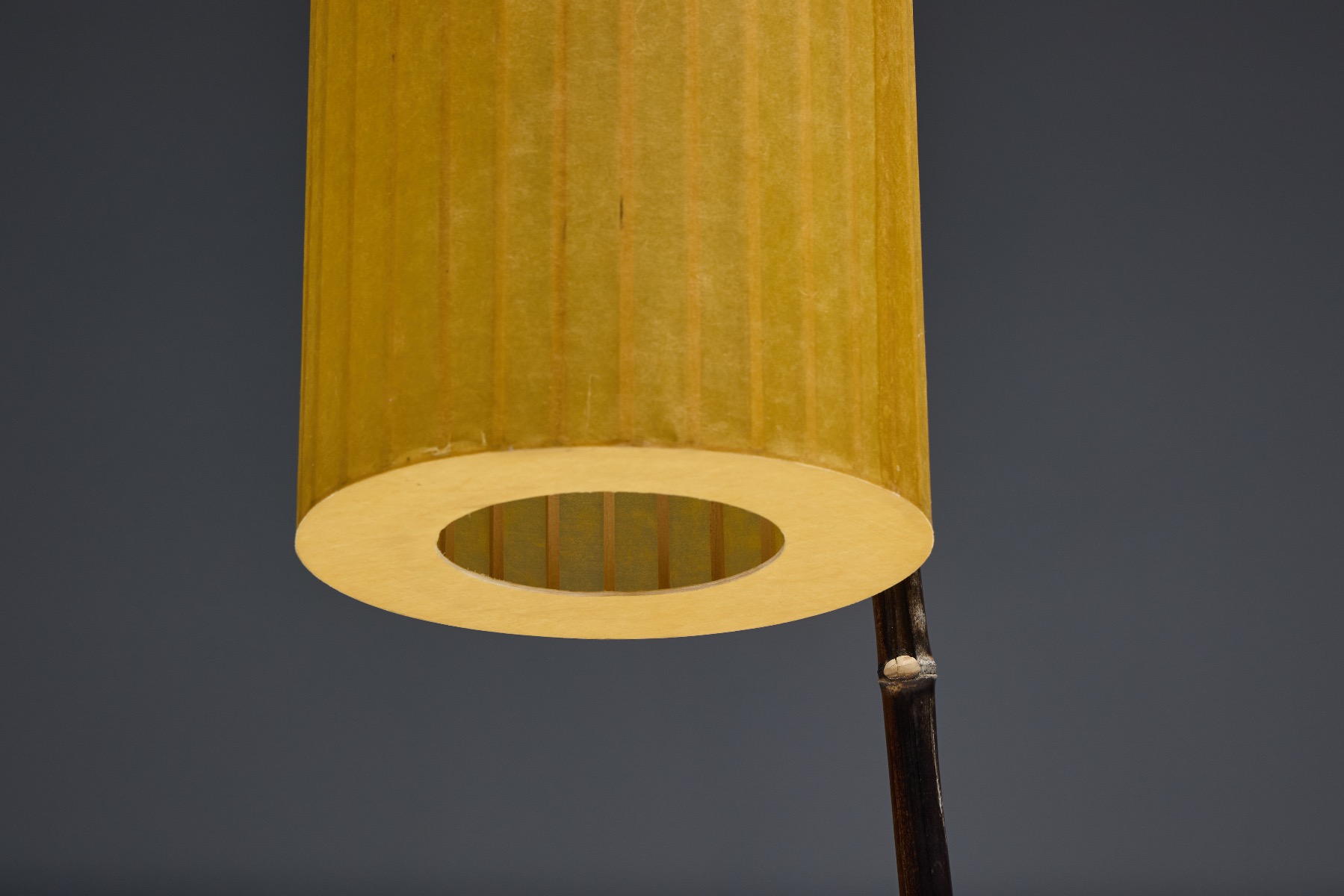 Fish Lamp by Calvin Marcus - 2018