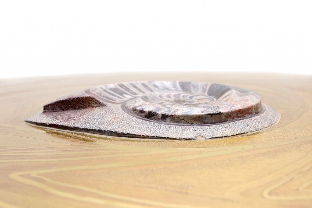 Brass Coffee Table With Inlaid Polished Ammonite, Marc D'haenens - 1970s