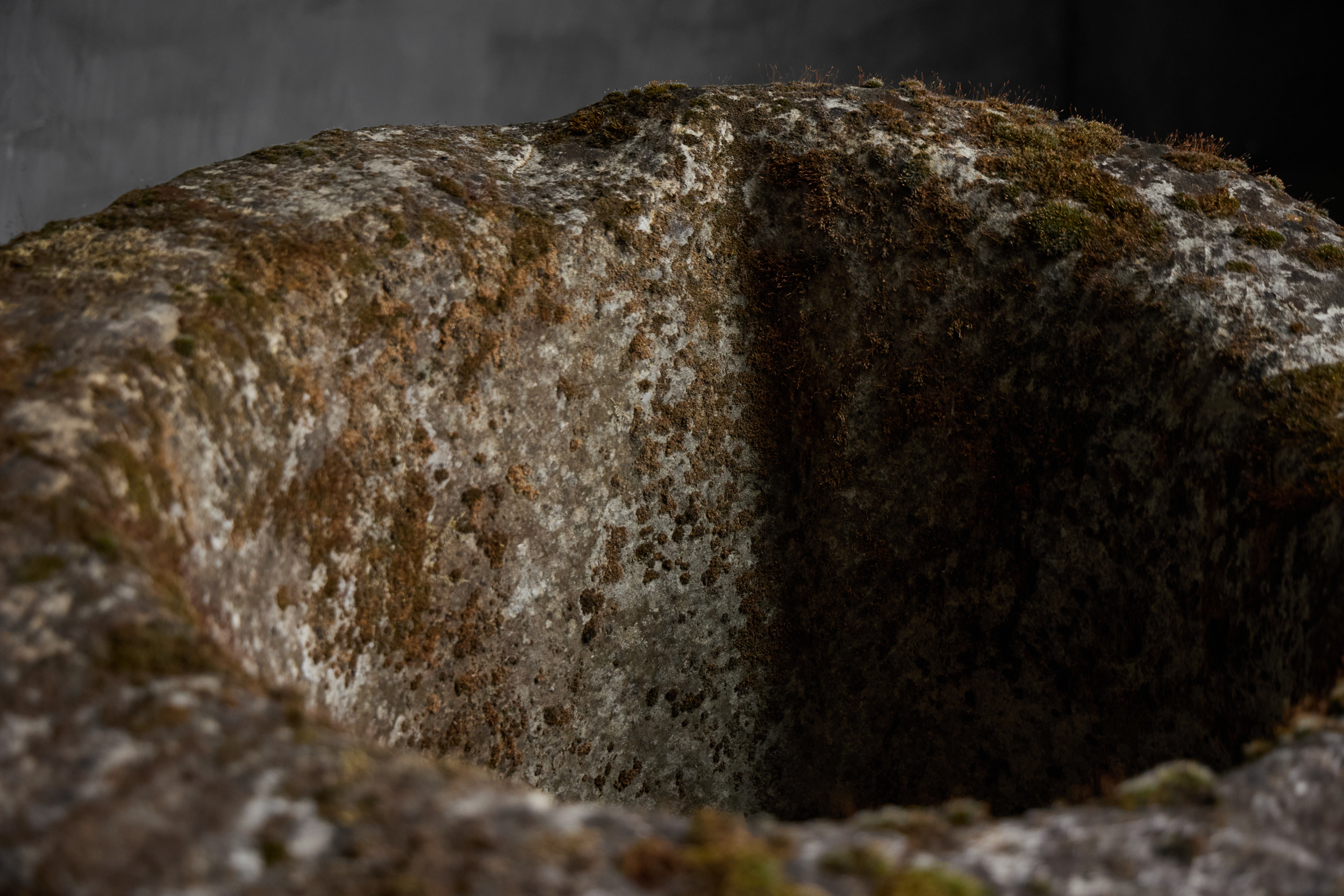 Large Vernacular Stone Basin, Italy - 19th Century