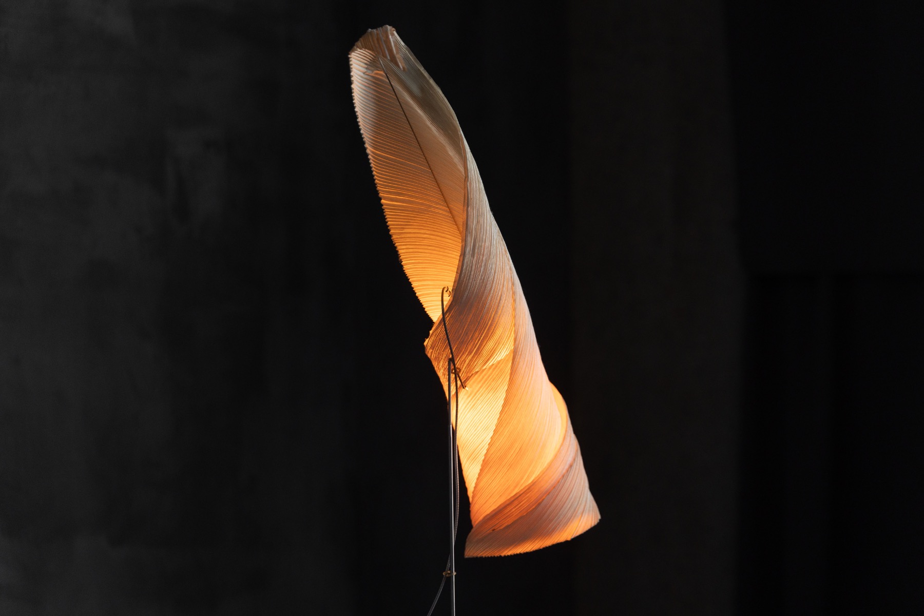 MaMo Nouchies Table Lamp by Ingo Maurer, Germany - 1998