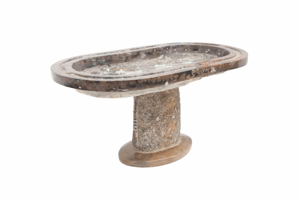 Rare Fossil Marble Side Table - 19th Century