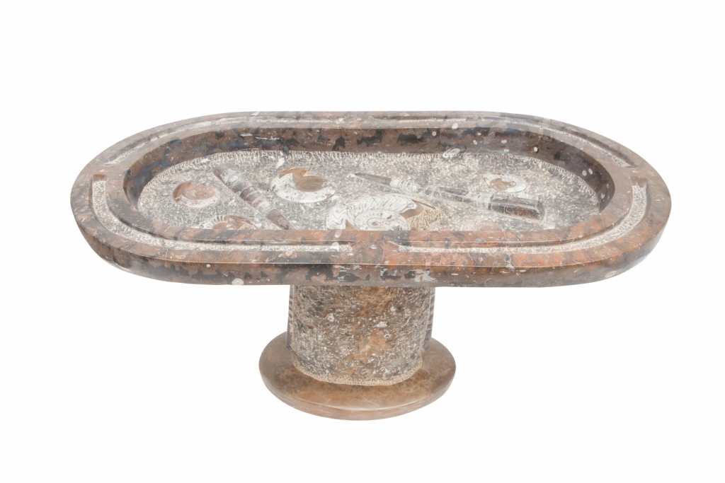 Rare Fossil Marble Side Table - 19th Century
