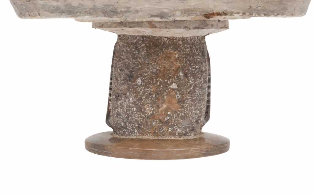 Rare Fossil Marble Side Table - 19th Century