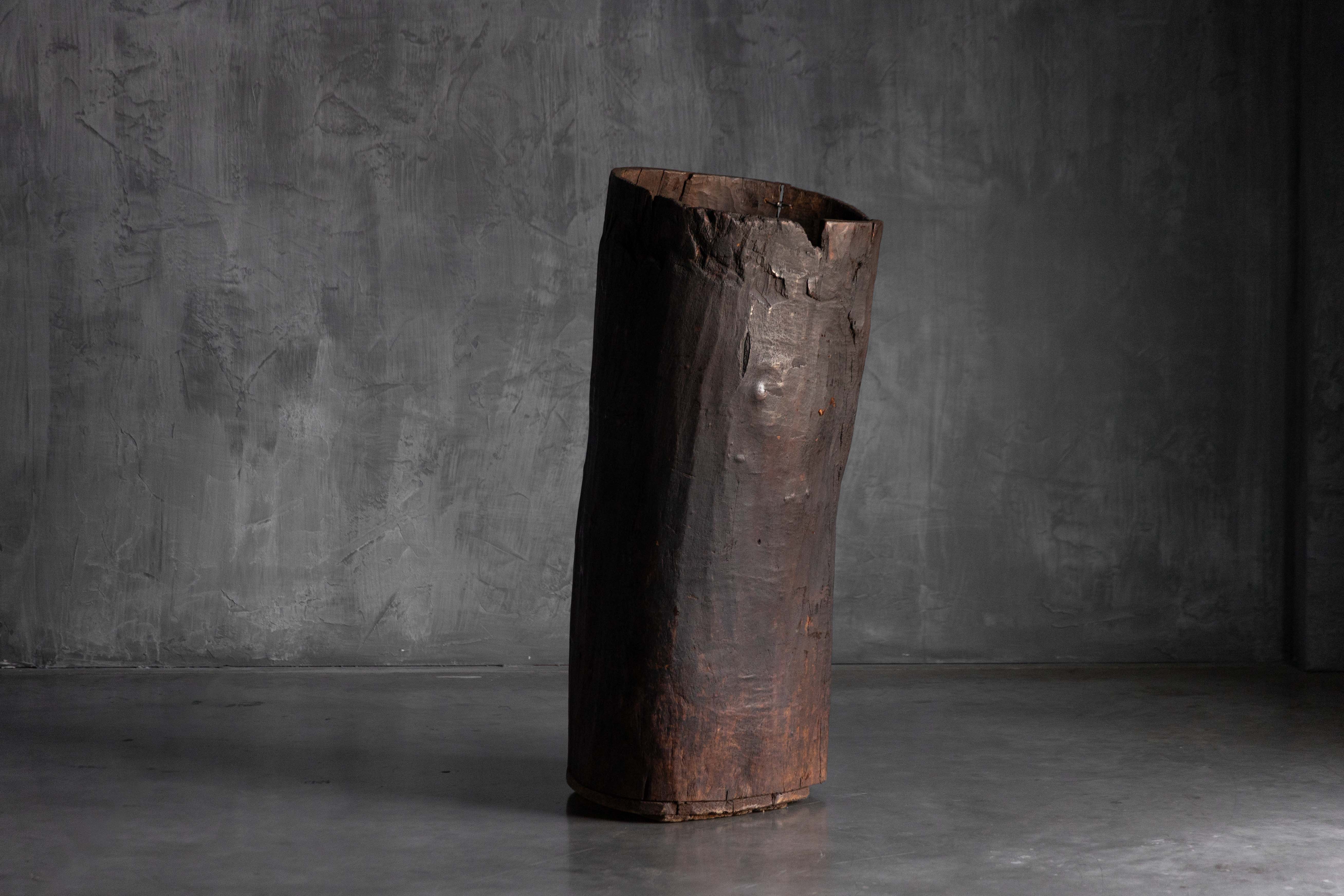 Vernacular Tree Trunk Vessel - 19th Century