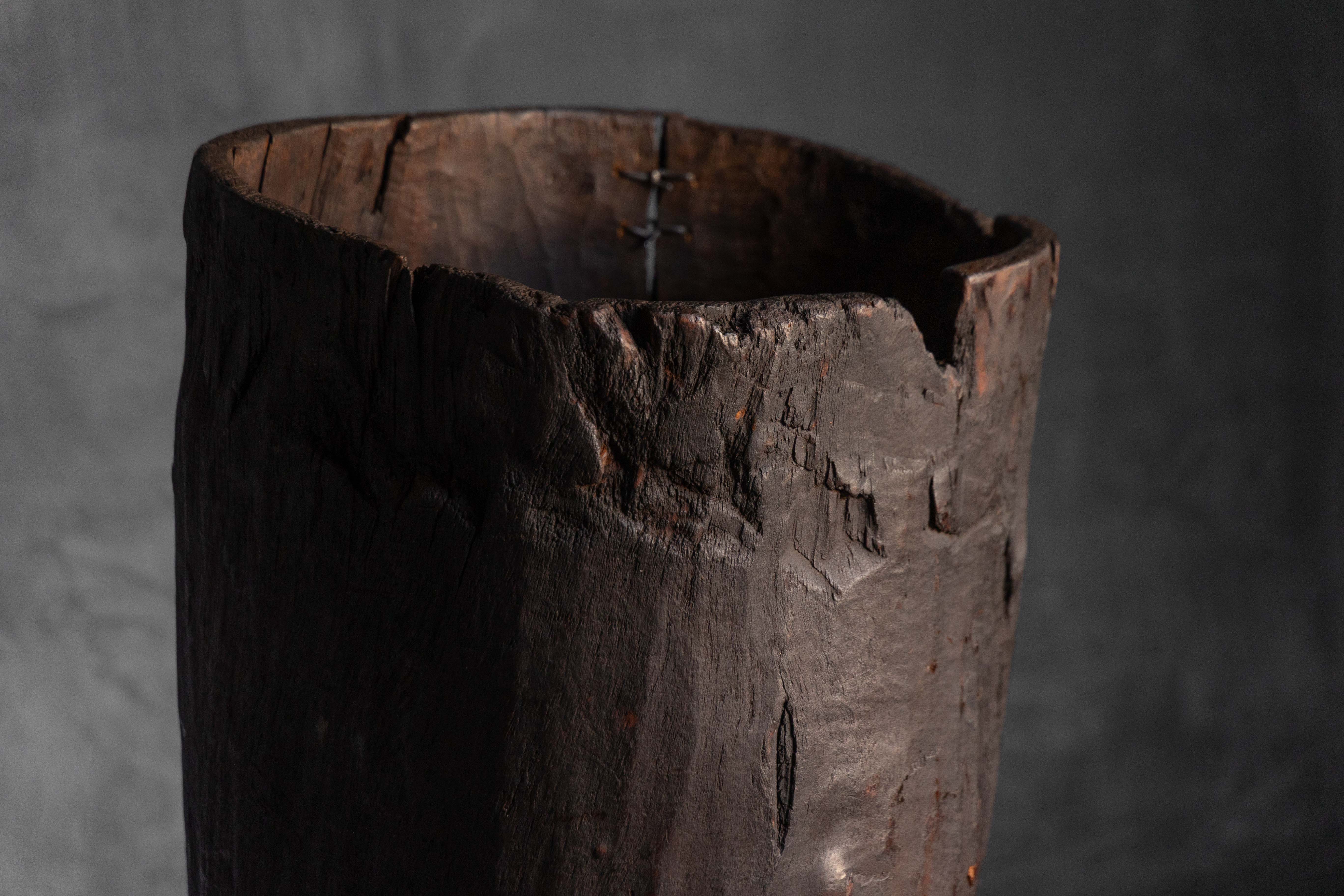 Vernacular Tree Trunk Vessel - 19th Century